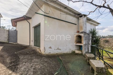 Farm i Lousada, Porto, Lousada - € 480.000 | Ref: ZMPT586991 - foto 36