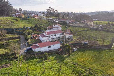 Farm i Lousada, Porto, Lousada - € 480.000 | Ref: ZMPT586991 - foto 42