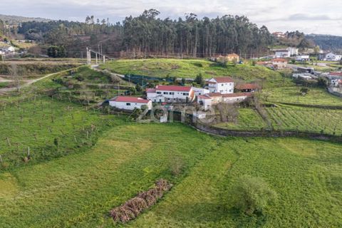 Farm i Lousada, Porto, Lousada - € 480.000 | Ref: ZMPT586991 - foto 43