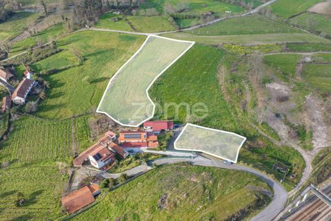 Farm i Lousada, Porto, Lousada - € 480.000 | Ref: ZMPT586991 - foto 1