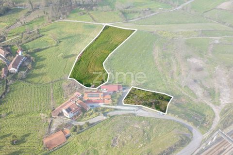 Farm i Lousada, Porto, Lousada - € 480.000 | Ref: ZMPT586991 - foto 45
