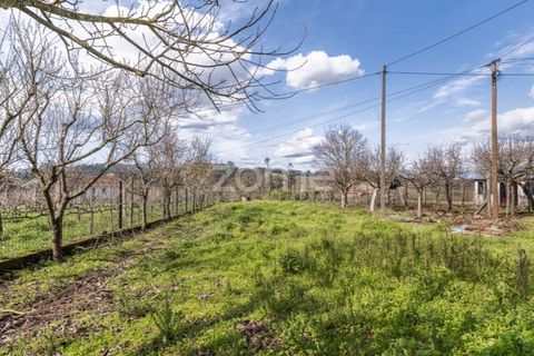 Farm i Lousada, Porto, Lousada - € 480.000 | Ref: ZMPT586991 - foto 47