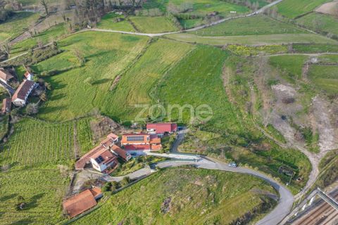 Farm i Lousada, Porto, Lousada - € 480.000 | Ref: ZMPT586991 - foto 44