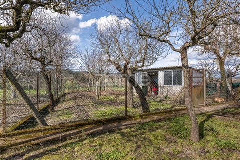 Farm i Lousada, Porto, Lousada - € 480.000 | Ref: ZMPT586991 - foto 46