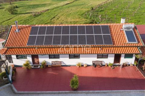 Farm i Lousada, Porto, Lousada - € 480.000 | Ref: ZMPT586991 - foto 4