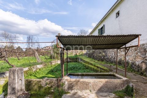 Farm i Lousada, Porto, Lousada - € 480.000 | Ref: ZMPT586991 - foto 50