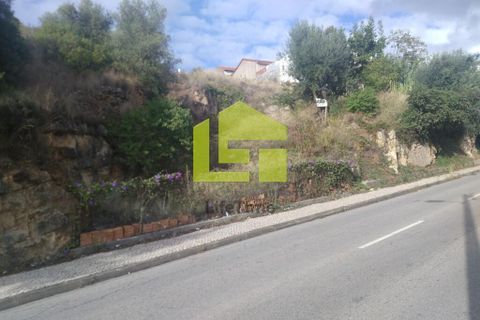 Helårsgrund i Coimbra, Coimbra, Coimbra - € 560.000 | Ref: LT1464 - foto 3