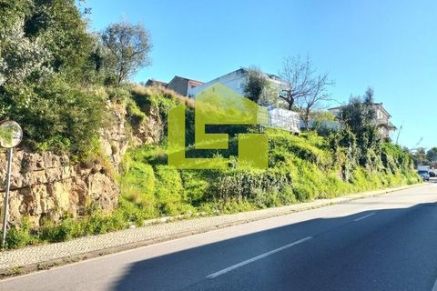 Helårsgrund i Coimbra, Coimbra, Coimbra - € 560.000 | Ref: LT1464 - foto 5