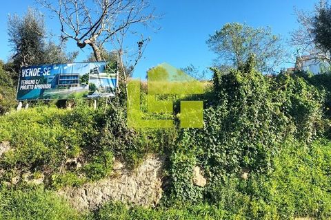 Helårsgrund i Coimbra, Coimbra, Coimbra - € 560.000 | Ref: LT1464 - foto 7