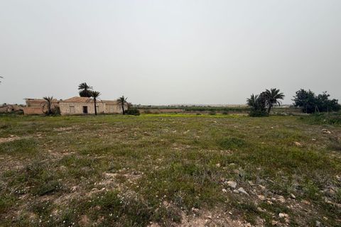 Landejendom i Rojales, Alicante, Rojales - € 265.000 | Ref: F130/3390 - foto 12