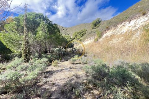 Landejendom i Lorca, Murcia, Lorca - € 200.000 | Ref: 1098 - foto 9