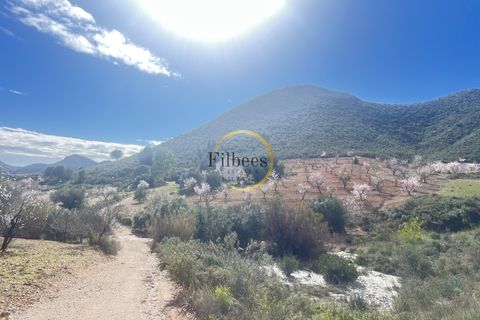 Landejendom i Lorca, Murcia, Lorca - € 200.000 | Ref: 1098 - foto 16