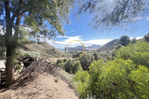 Landejendom i Lorca, Murcia, Lorca - € 200.000 | Ref: 1098 - foto 17
