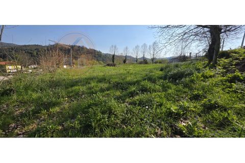 Grond in Alvite e Passos, Braga, Alvite e Passos - € 50.000 | Ref: SÒL_201 - foto 2