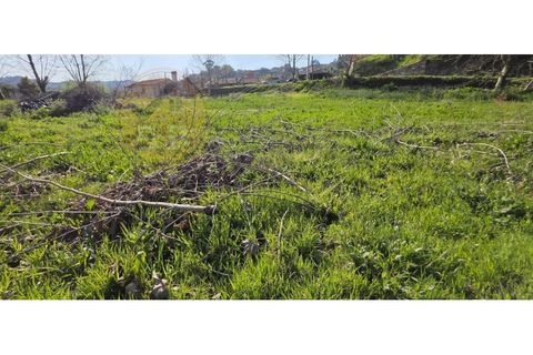 Grond in Alvite e Passos, Braga, Alvite e Passos - € 50.000 | Ref: SÒL_201 - foto 3