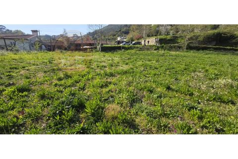 Grond in Alvite e Passos, Braga, Alvite e Passos - € 50.000 | Ref: SÒL_201 - foto 4