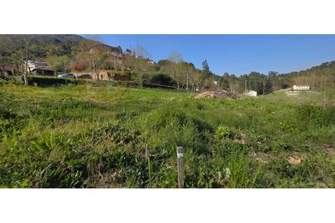 Grond in Alvite e Passos, Braga, Alvite e Passos - € 50.000 | Ref: SÒL_201 - foto 5