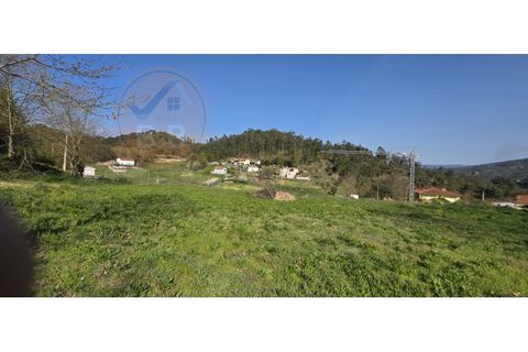 Grond in Alvite e Passos, Braga, Alvite e Passos - € 50.000 | Ref: SÒL_201 - foto 6