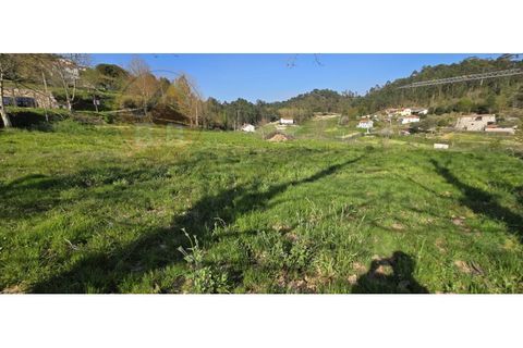 Grond in Alvite e Passos, Braga, Alvite e Passos - € 50.000 | Ref: SÒL_201 - foto 7