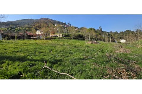 Grond in Alvite e Passos, Braga, Alvite e Passos - € 50.000 | Ref: SÒL_201 - foto 8