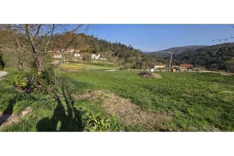 Grond in Alvite e Passos, Braga, Alvite e Passos - € 50.000 | Ref: SÒL_201 - foto 10