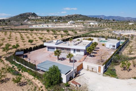 Villa i Pinoso, Alicante, Pinoso - € 650.000 | Ref: CF3319 - foto 3