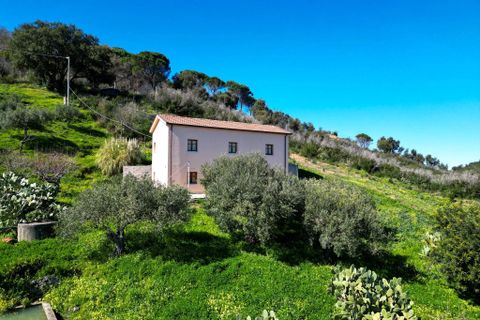 Villa i Cefalu, Palermo, Cefalu - € 240.000 | Ref: Casa Carbonara - Cefalù - foto 32