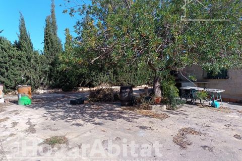 Villa a Lliria, Valencia, Lliria - € 135.000 | Ref: 036PLU135.F-D/3716 - foto 37