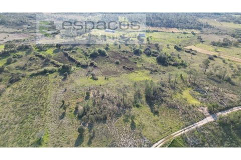 Helårsgrund i Castelo Branco, Castelo Branco, Castelo Branco - € 9.850 | Ref: 5522/EG - foto 2