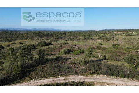 Helårsgrund i Castelo Branco, Castelo Branco, Castelo Branco - € 9.850 | Ref: 5522/EG - foto 3