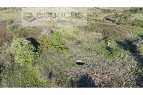 Helårsgrund i Castelo Branco, Castelo Branco, Castelo Branco - € 9.850 | Ref: 5522/EG - foto 5