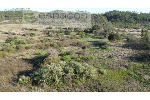 Helårsgrund i Castelo Branco, Castelo Branco, Castelo Branco - € 9.850 | Ref: 5522/EG - foto 6