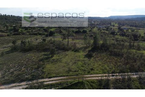 Helårsgrund i Castelo Branco, Castelo Branco, Castelo Branco - € 9.850 | Ref: 5522/EG - foto 7
