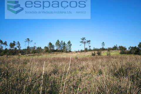 Helårsgrund i Castelo Branco, Castelo Branco, Castelo Branco - € 9.850 | Ref: 5522/EG - foto 8