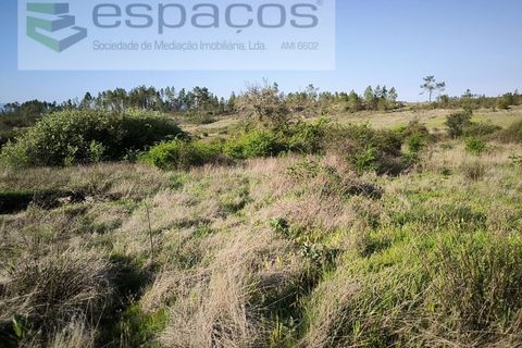 Helårsgrund i Castelo Branco, Castelo Branco, Castelo Branco - € 9.850 | Ref: 5522/EG - foto 9