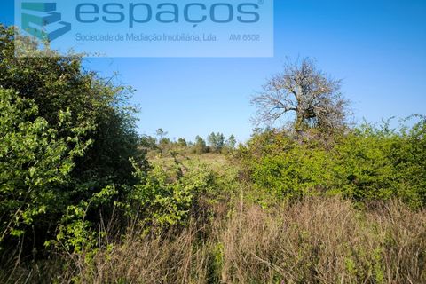 Helårsgrund i Castelo Branco, Castelo Branco, Castelo Branco - € 9.850 | Ref: 5522/EG - foto 10