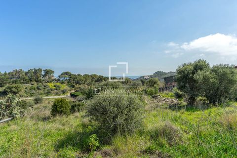 Villa em Cadaques, Gerona, Cadaques - € 3.390.000 | Ref: CBR67531 - foto 15
