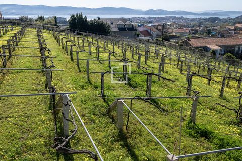 Villa i Adina, Coruna, Adina - € 1.945.000 | Ref: VIG37340 - foto 39