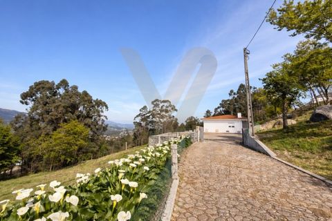 Villa i Ponte de Lima, Viana do Castelo, Ponte de Lima - € 380.000 | Ref: V456 - foto 2