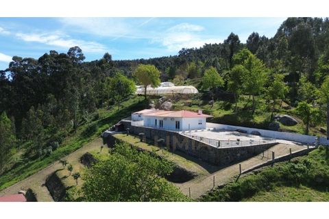 Villa i Ponte de Lima, Viana do Castelo, Ponte de Lima - € 380.000 | Ref: V456 - foto 1