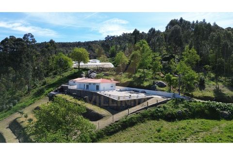 Villa i Ponte de Lima, Viana do Castelo, Ponte de Lima - € 380.000 | Ref: V456 - foto 3