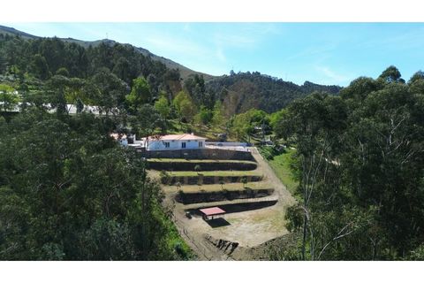 Villa i Ponte de Lima, Viana do Castelo, Ponte de Lima - € 380.000 | Ref: V456 - foto 33