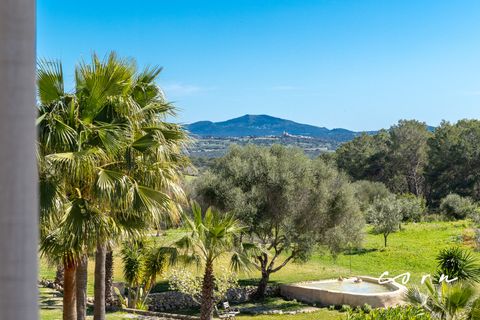 Landejendom i Sineu, Mallorca, Sineu - € 2.380.000 | Ref: CRE0135 - foto 14