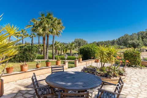 Landejendom i Sineu, Mallorca, Sineu - € 2.380.000 | Ref: CRE0135 - foto 17