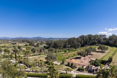 Landejendom i Sineu, Mallorca, Sineu - € 2.380.000 | Ref: CRE0135 - foto 18