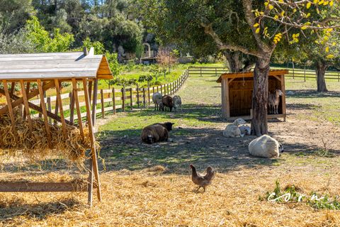 Landejendom i Sineu, Mallorca, Sineu - € 2.380.000 | Ref: CRE0135 - foto 33