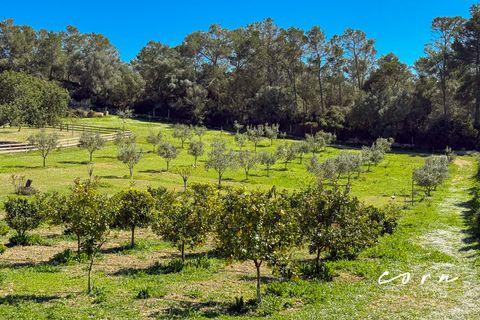 Landejendom i Sineu, Mallorca, Sineu - € 2.380.000 | Ref: CRE0135 - foto 34