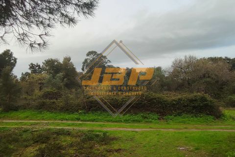 Terra a Cartaxo, Santarem, Cartaxo - € 25.000 | Ref: 0111 - foto 5