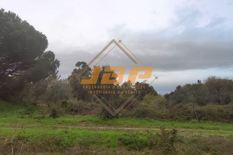Terra a Cartaxo, Santarem, Cartaxo - € 25.000 | Ref: 0111 - foto 6