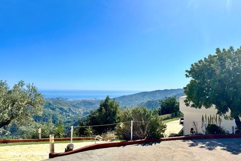 Landejendom i Almunecar, Granada, Almunecar - € 295.000 | Ref: 2605 - foto 44